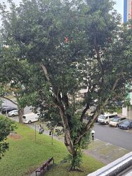 Yishun Avenue 11 (Yishun),  #634586141